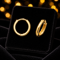 9ct Yellow Gold 10mm Hoop Earrings British Made 375 Hallmarked Brand New Boxed