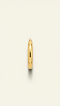 Classic Gold Hoop Earrings Everyday Elegance